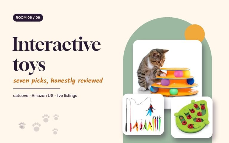 Interactive toys guide cover